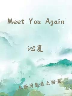 Meet You Again